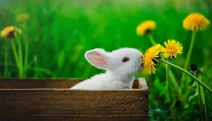 世界杯比赛直播地址-足协公布U20国家队名单 将参加中乙第一阶段联赛